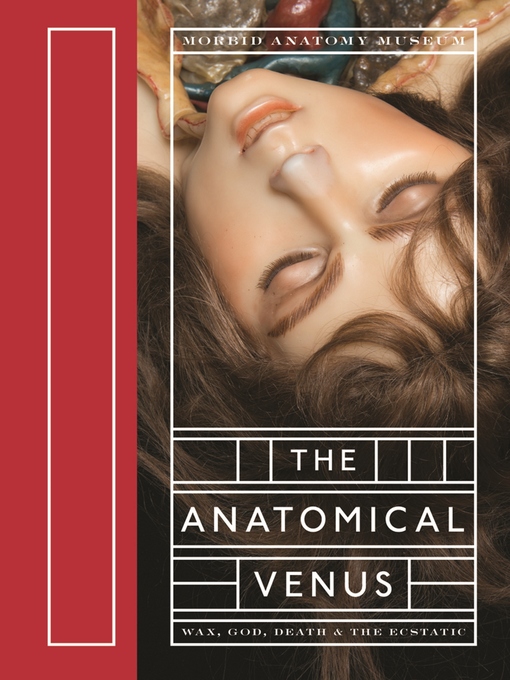 Title details for The Anatomical Venus by Joanna Ebenstein - Wait list